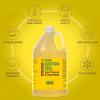 imagePure Cold Pressed Castor Oil  Big 32 fl oz Bottle  Unrefined ampamp Hexane Free  100 Pure Castor Oil for Hair Growth Thicker Eyelashes ampamp Eyebrows Dry Skin Healing Hair Care Joint and Muscle PainCastor