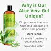 imageSeven Minerals Organic Aloe Vera Gel from freshly cut 100 Pure Aloe  Big 12oz  HighestQuality Texas grown Vegan Unscented  For Face Skin Hair Sunburn relief12 Fl Oz