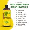 imageSeven Minerals Pure Cold Pressed Neem Oil  Big 32 fl oz Bottle  NonGMO Hexane Free 100 Pure Neem Oil for Plants Spray Skincare ampamp Haircare Treats Dry Skin Wrinkles ampamp Promotes Hair Growth