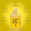 imageSeven Minerals Pure Fractionated Coconut Oil  Big 32 fl oz Bottle  NonGMO 100 Natural Lightweight Massage Oil for Massage Therapy on Skin Hair More  Perfect Carrier Oil for Essential Oils128 Fl Oz Pack of 1