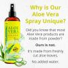 imageSeven Minerals Travel Size Organic Aloe Vera Spray with 100 Pure Aloe From Freshly Cut Aloe Plant Not Powder  No XanthanSo It Absorbs Rapidly With No Sticky Residue 2 fl oz12 Fl Oz Pack of 1